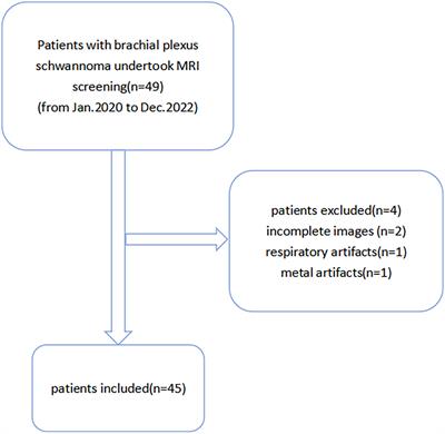 The guiding value of the cinematic volume rendering technique in the preoperative diagnosis of brachial plexus schwannoma